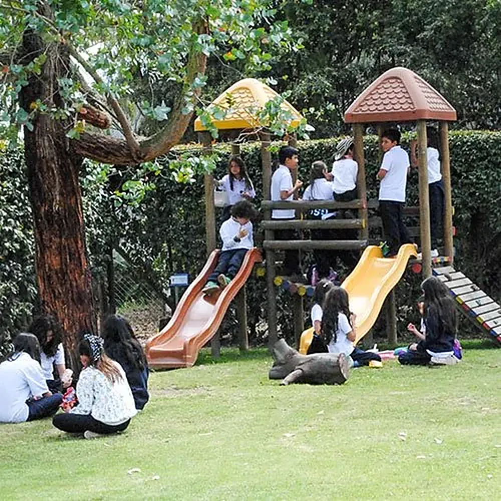 Estudiantes en el parque de madera con toboganes, bajo los árboles