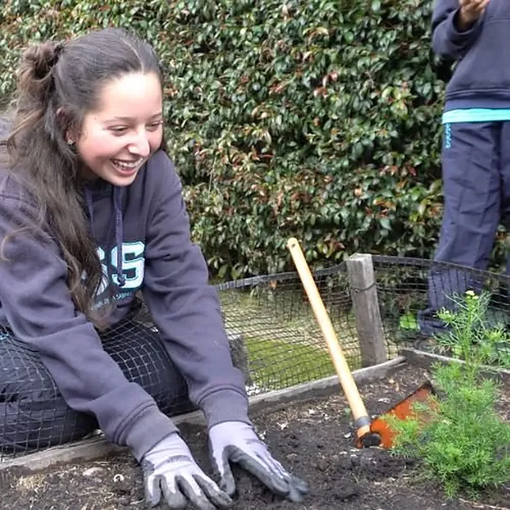 Estudiante sembrando en la huerta del colegio